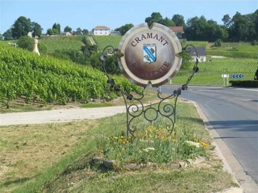 Gite En Champagne Le Sarment Cramant Exterior photo