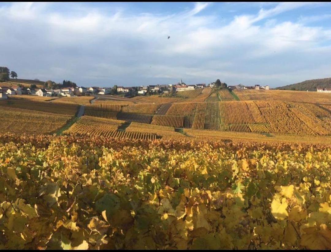 Gite En Champagne Le Sarment Cramant Exterior photo