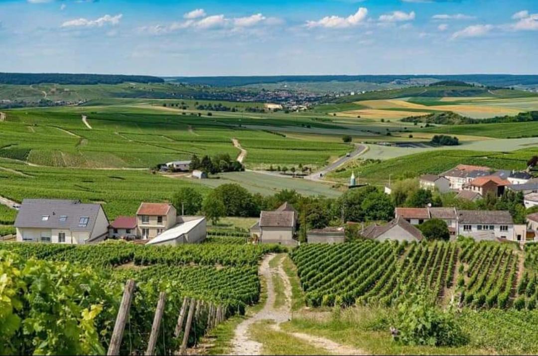 Gite En Champagne Le Sarment Cramant Exterior photo